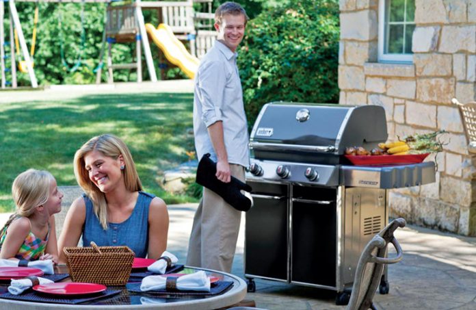 Weber-Genesis-6531001-E-330
