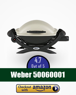 weber smoker: 