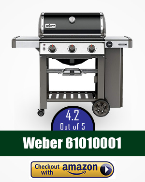 weber smoker: 