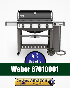 weber smoker: 
