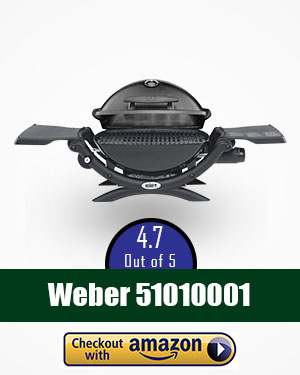 weber smoker: 