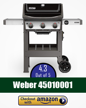 weber smoker: 